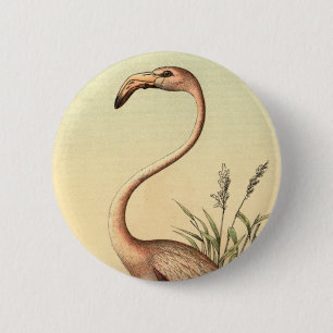 Bóton Redondo 5.08cm Ilustração cor-de-rosa do flamingo do vintage