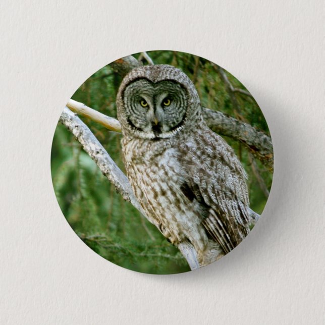 BÓTON REDONDO 5.08CM IMG_0297_2 (Frente)