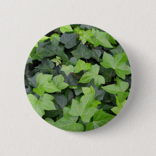 Bóton Redondo 5.08cm Impressão de Botânica de Ivy Verde