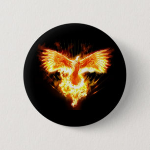 Bóton Redondo 5.08cm indeterminado