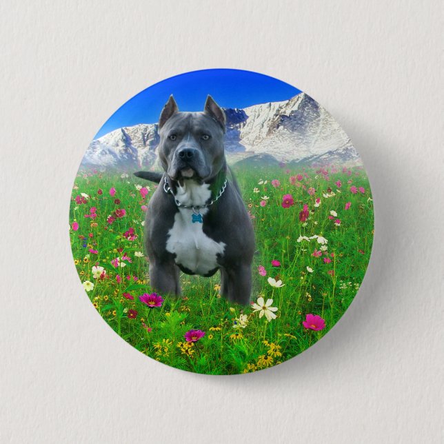 Bóton Redondo 5.08cm indeterminado (Frente)