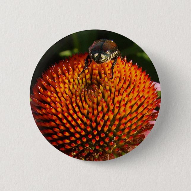 Bóton Redondo 5.08cm Inseto na ventoinha (Frente)