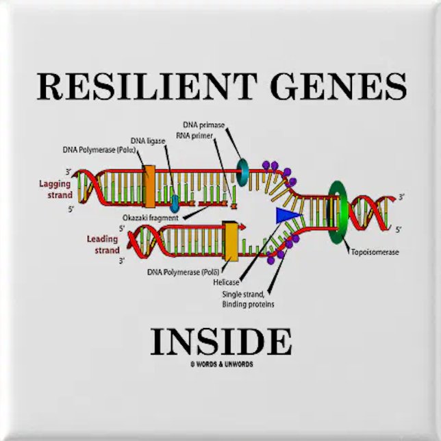 Bóton Redondo 5.08cm Interior resiliente dos genes (réplica do ADN) (Genetics attitude pinback button for any resilient person)