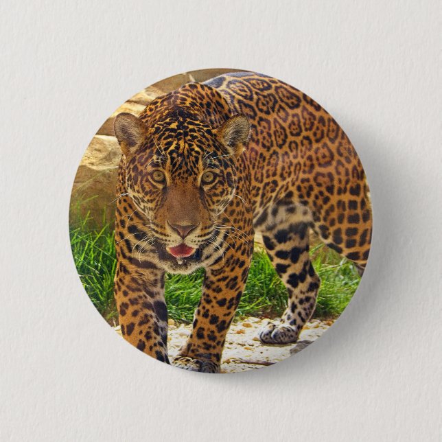Bóton Redondo 5.08cm Jaguar (Frente)