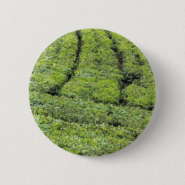 Bóton Redondo 5.08cm jardins de chá de Munnar em  (Frente)
