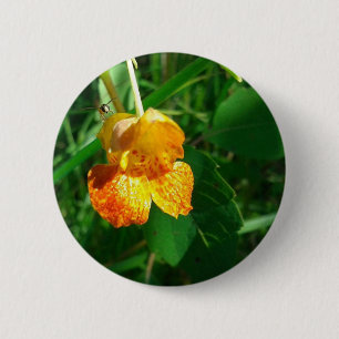 Bóton Redondo 5.08cm Jewel Weed