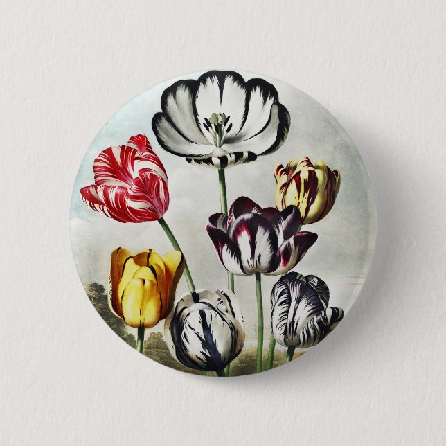 Bóton Redondo 5.08cm John Thornton Tulips do Templo da Flora (Frente)