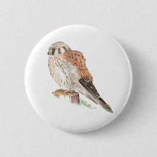 Bóton Redondo 5.08cm Kestrel Sparrow Hawk, Watercolor Bird