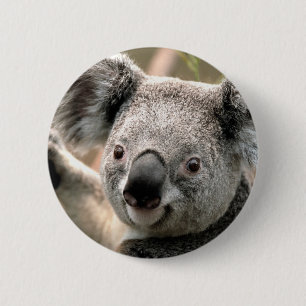 Bóton Redondo 5.08cm Koala