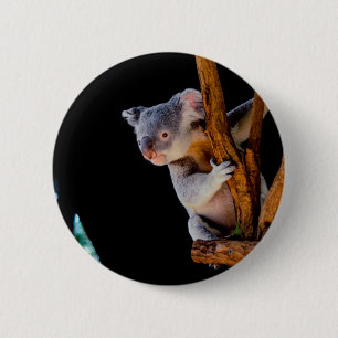 Bóton Redondo 5.08cm Koala Cute na Cinza