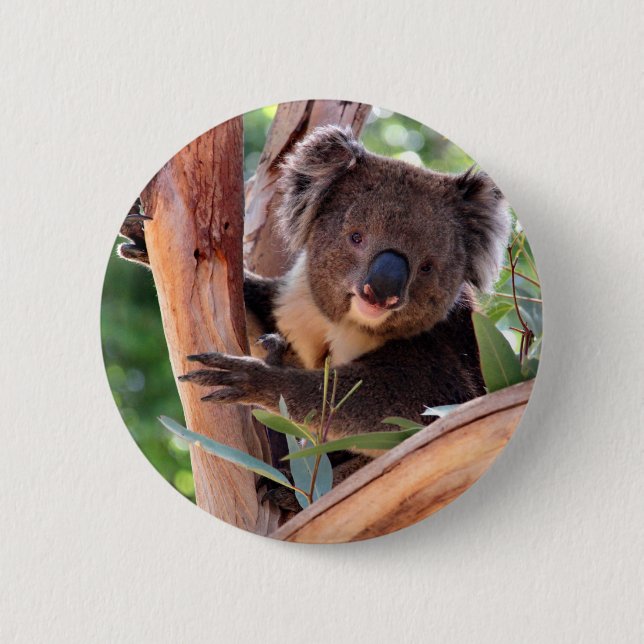 Bóton Redondo 5.08cm Koala do Victorian (Frente)