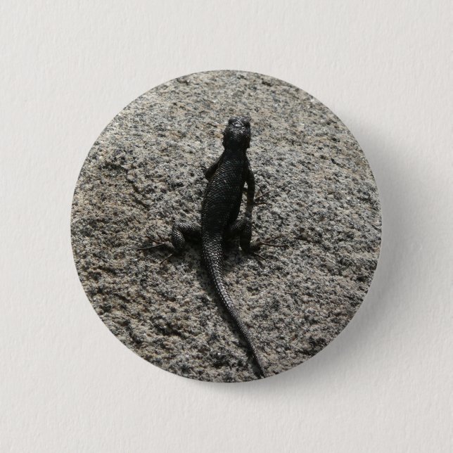 Bóton Redondo 5.08cm Lagarto Preto (Frente)