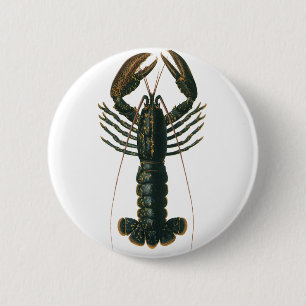Bóton Redondo 5.08cm Lagosta-Vintage, Crustáceo-Vida do Oceano Marinho