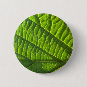 Bóton Redondo 5.08cm Legal literatura verde