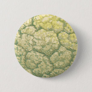 Bóton Redondo 5.08cm Legumes Vegetais Couve-Flor Comida Antiga