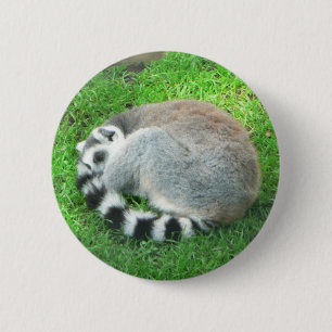 Bóton Redondo 5.08cm Lemur do sono na grama