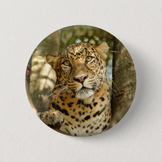 Bóton Redondo 5.08cm LeopardCheetaro013