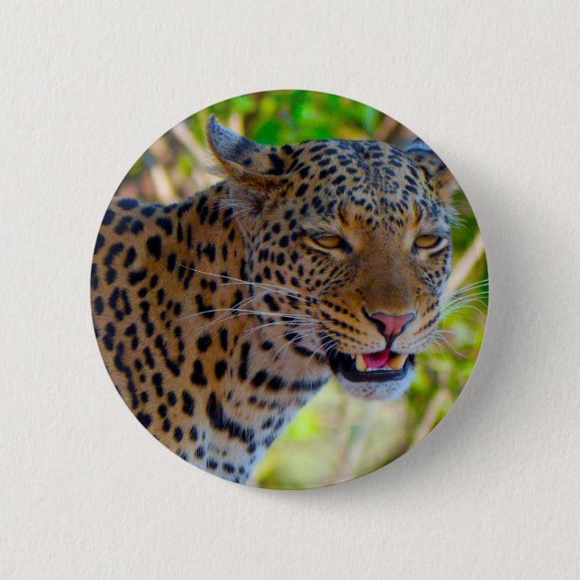 Bóton Redondo 5.08cm Leopardo Manchado (Frente)