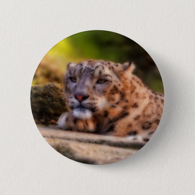 Bóton Redondo 5.08cm Leopardo solto (Frente)