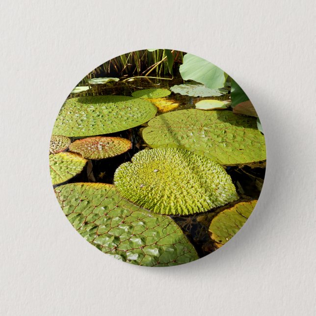 Bóton Redondo 5.08cm Lily Pads Crachá (Frente)