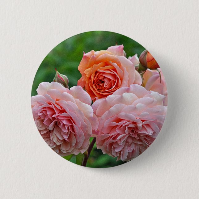 Bóton Redondo 5.08cm Lindas rosas rosa (Frente)