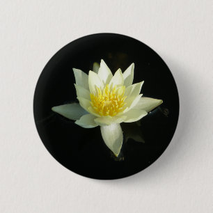 Bóton Redondo 5.08cm Lírio de água branca/Lotus