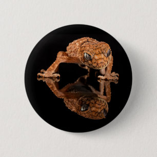 Bóton Redondo 5.08cm Lizard Pequeno Cute com Reflexo