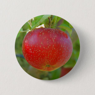 Bóton Redondo 5.08cm Lobo de Apple