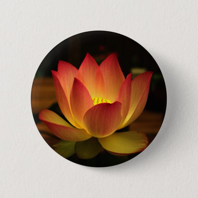 Bóton Redondo 5.08cm Lotus (Frente)