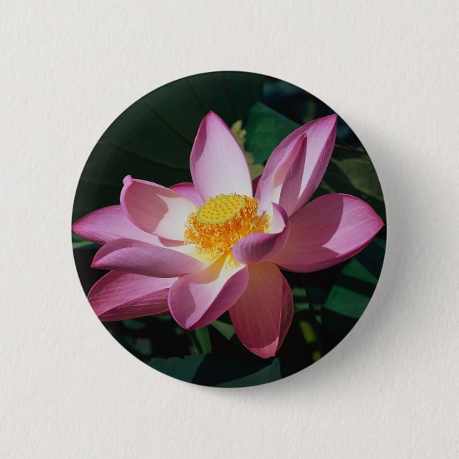 Bóton Redondo 5.08cm Lotus cor-de-rosa (Frente)
