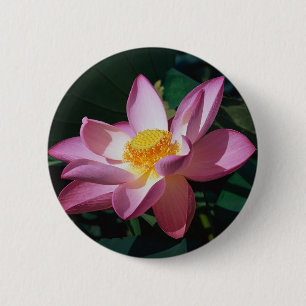 Bóton Redondo 5.08cm Lotus cor-de-rosa