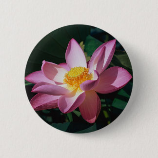 Bóton Redondo 5.08cm Lotus cor-de-rosa