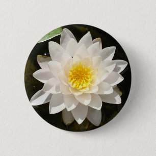 Bóton Redondo 5.08cm Lotus Waterlily Branco Flutuante