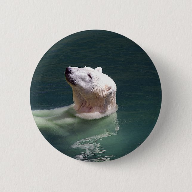 Bóton Redondo 5.08cm Lugar de repouso do urso polar (Frente)