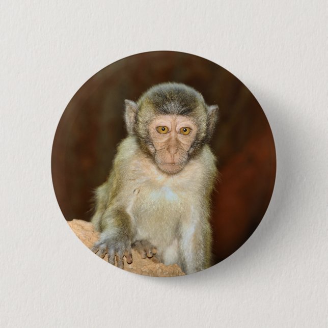 Bóton Redondo 5.08cm macaco (Frente)