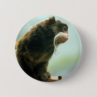 Bóton Redondo 5.08cm Macaco do Tamarin