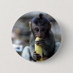 Bóton Redondo 5.08cm Macaco-macaco-bebê bonito comendo banana
