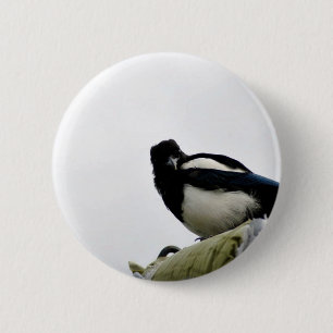 Bóton Redondo 5.08cm Magpie