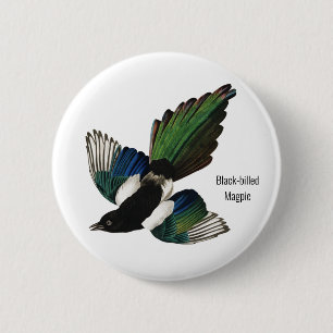 Bóton Redondo 5.08cm Magpie de bico negro, Audubon, Birder americano,