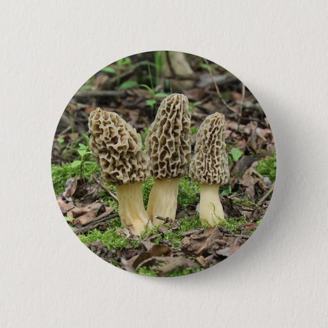 Bóton Redondo 5.08cm Mais Morels (Frente)