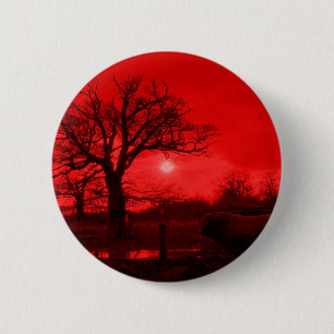 BÓTON REDONDO 5.08CM MALAS