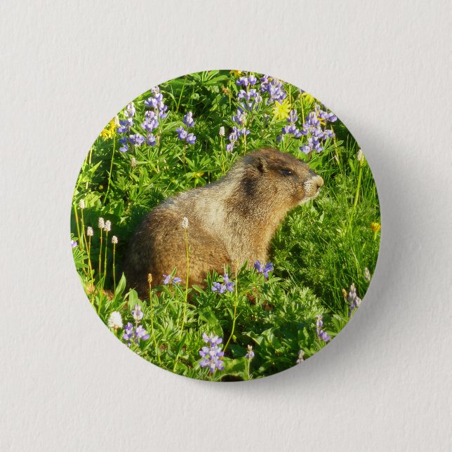 Bóton Redondo 5.08cm Marmota em Flores Silvestres do Monte Rainier (Frente)