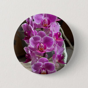 Bóton Redondo 5.08cm Mini Phalaenopsis Sogo Vivien Purple Orchid Flower