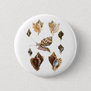 Bóton Redondo 5.08cm Moluscos e Caracóis Vintage, Organismos da Vida Ma