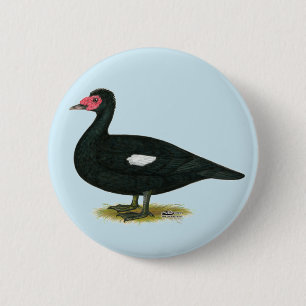 Bóton Redondo 5.08cm Muscovy Black Drake