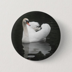 Bóton Redondo 5.08cm Natação da cisne do botão
