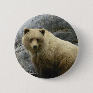 Bóton Redondo 5.08cm Natureza do destino dos animais de Alaska do urso