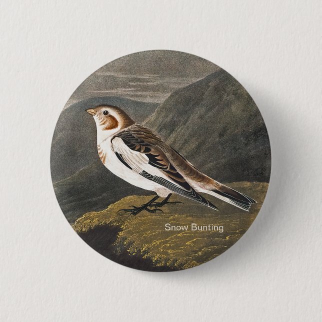 Bóton Redondo 5.08cm Neve Bunting por John James Audubon, Birders Bird (Frente)