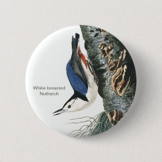 Bóton Redondo 5.08cm Nuthatch de peito branco, moda de pássaros de Audu