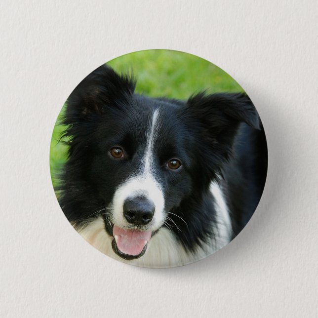 Bóton Redondo 5.08cm O cão de border collie adiciona o animal de (Frente)